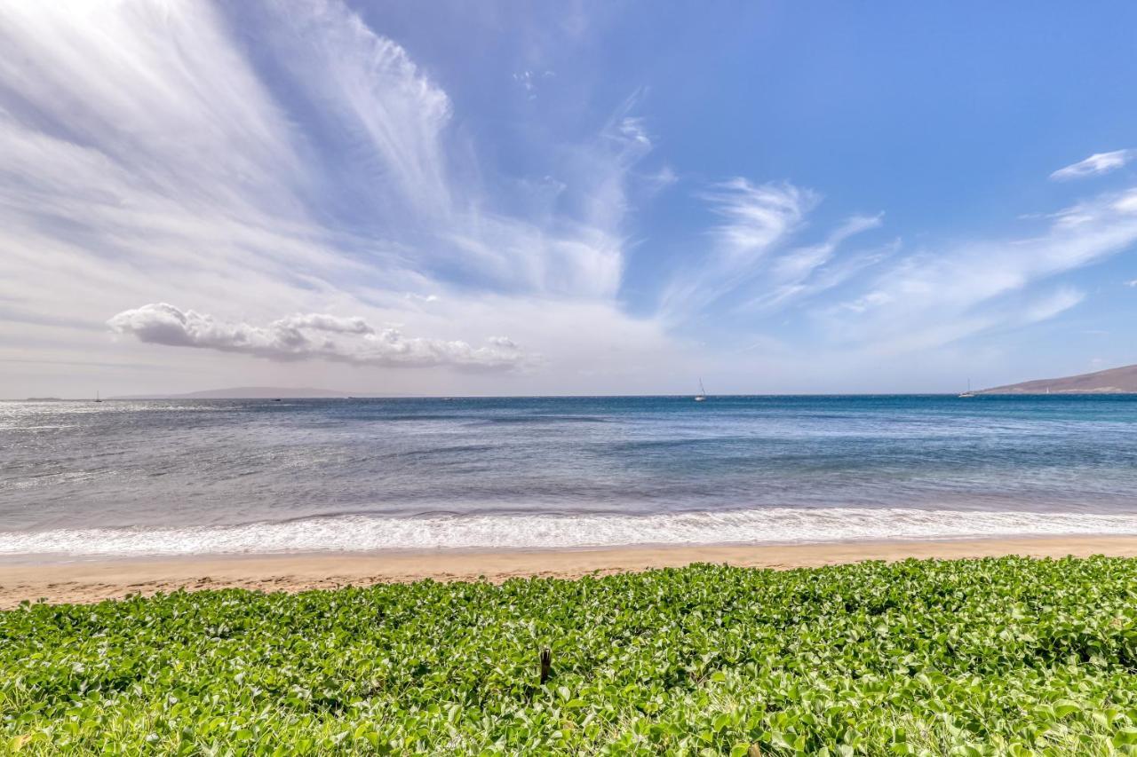 Sugar Beach Resort 224 Kihei Exterior photo
