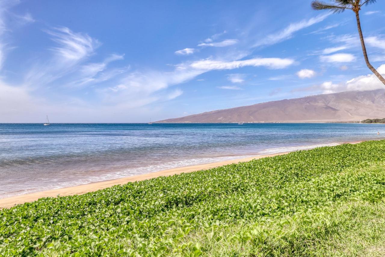 Sugar Beach Resort 224 Kihei Exterior photo
